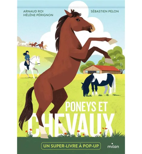 Poneys et chevaux - Un super-livre à pop-up