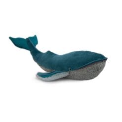 Grande baleine à bosse Tout autour du monde