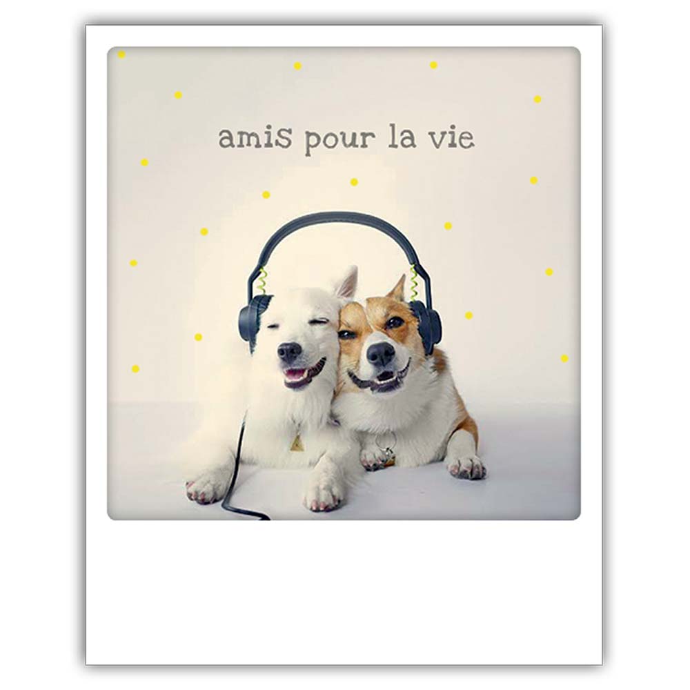 amis pour la vie