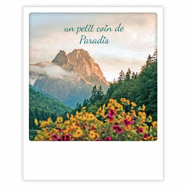 un petit coin de paradis