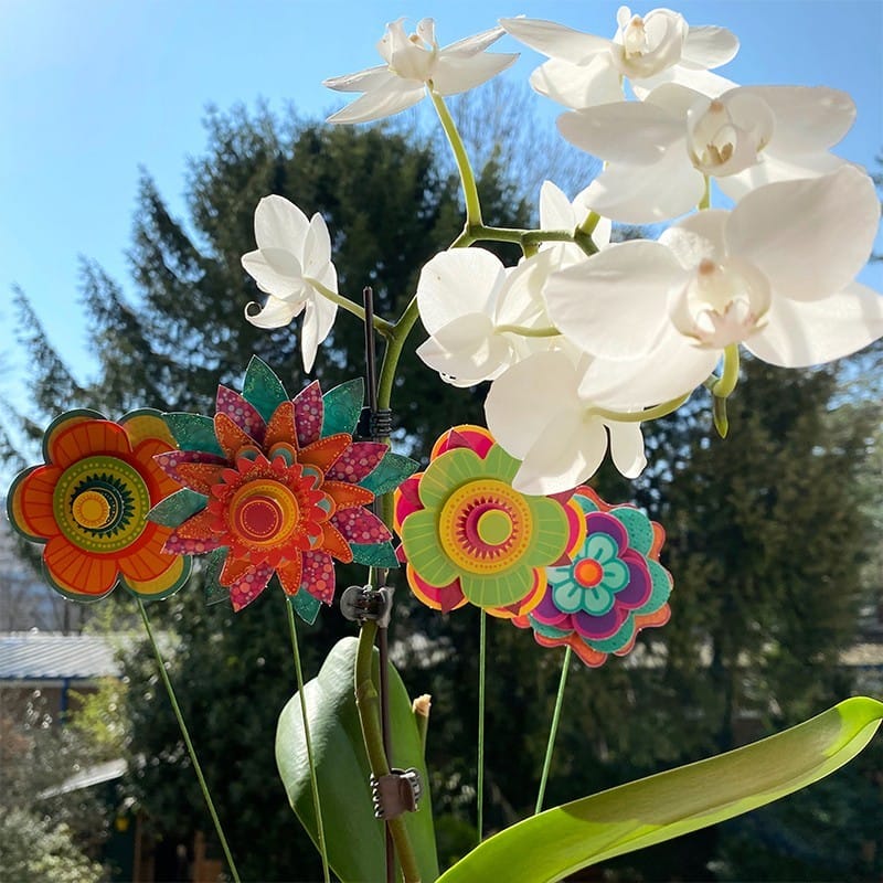 Premier Bouquet – Image 3