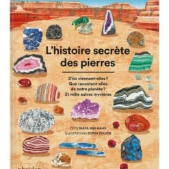 L'histoire secrète des pierre