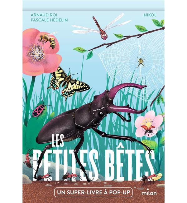 Les petites bêtes - Un super-livre à pop-up