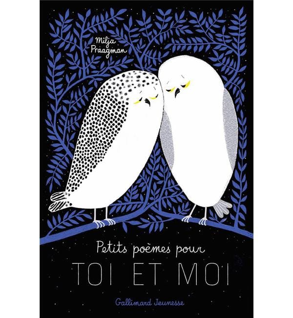 Petits poèmes pour toi et moi