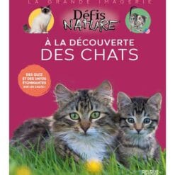 A la découverte des chats