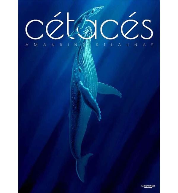 Cétacés