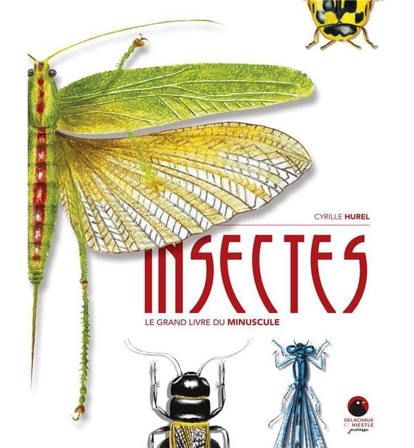 Insectes - Le grand livre du minuscule