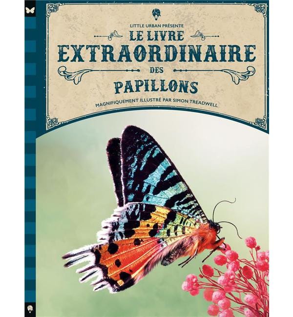 Le livre extraordinaire des papillons
