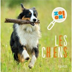 Les chiens