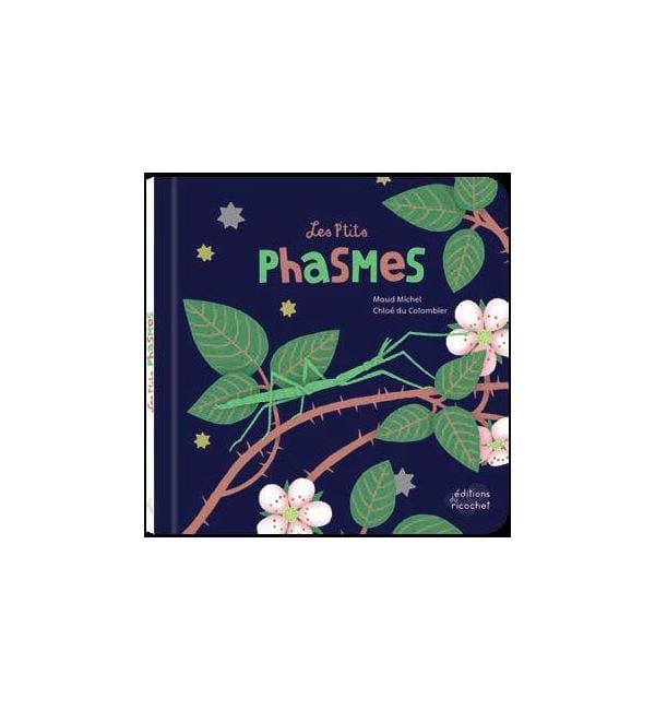 Les p'tits phasmes