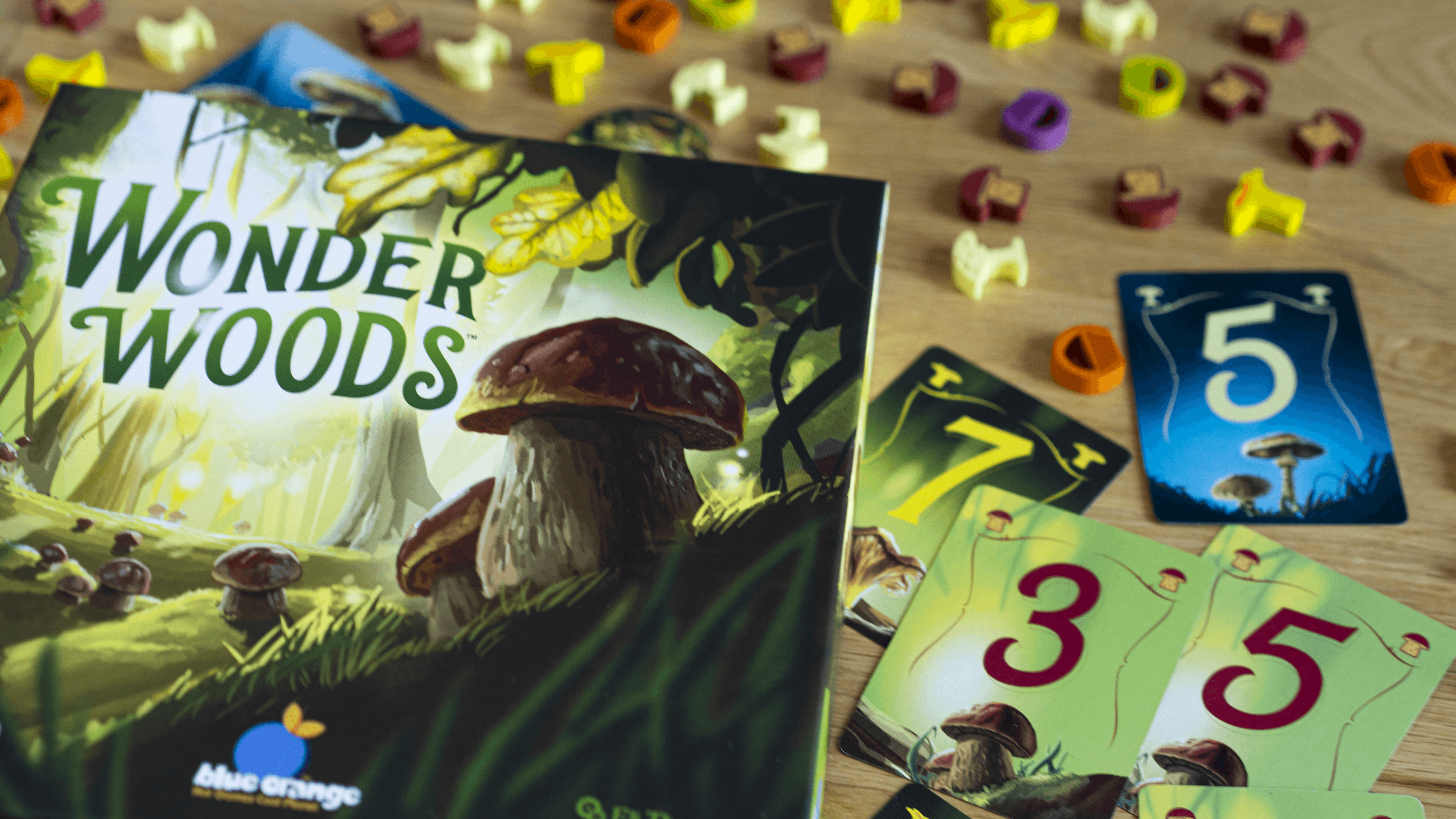 Wonder Woods – Image 2