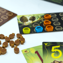 Wonder Woods – Image 3