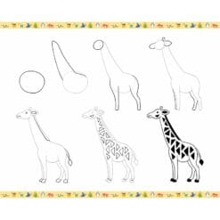 Step by Step Drawing Animaux – Image 15
