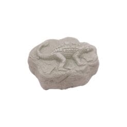 Jurassic Explorer - Mallette Explorateur – Image 4