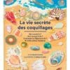 La vie secrète des coquillages