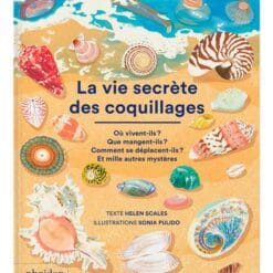 La vie secrète des coquillages