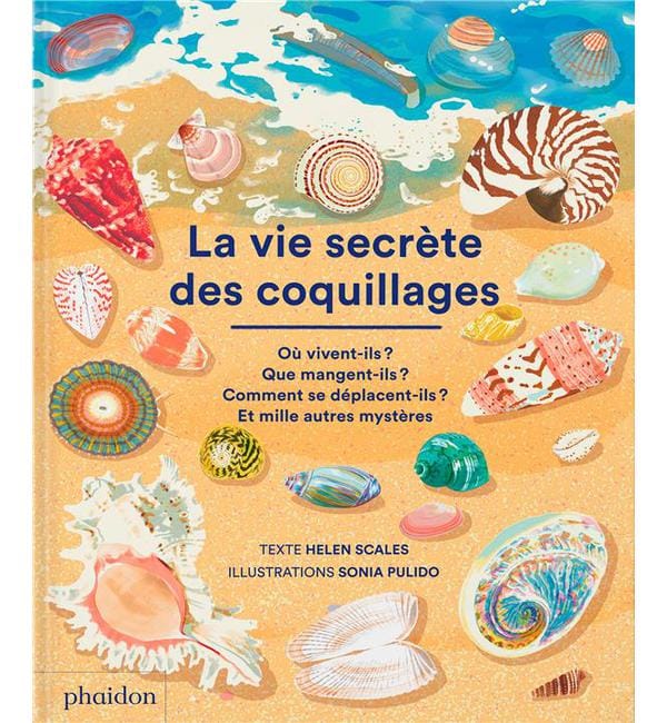La vie secrète des coquillages
