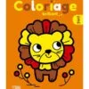 livre-le-lion-9782244132365