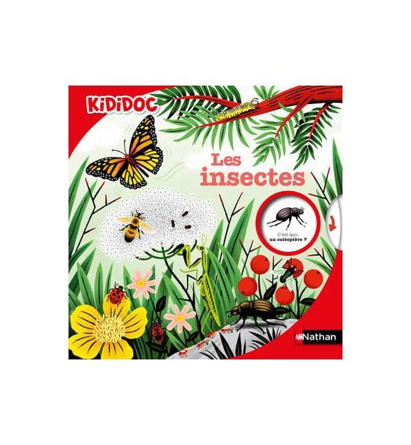 Les insectes