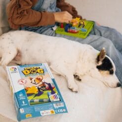 Corgi chien agile – Image 2