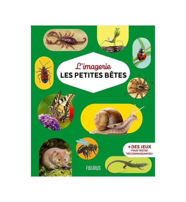Les petites bêtes