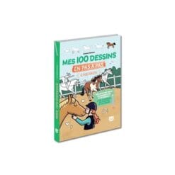Mes 100 dessins en pas à pas - Chevaux