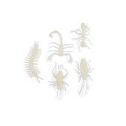 5 insectes phosphorescents - Les Petites Merveilles – Image 3
