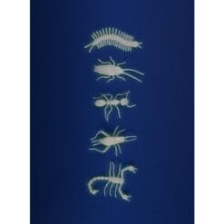5 insectes phosphorescents - Les Petites Merveilles – Image 4