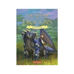 L'Académie des dragons Tome 6 - Erin et Brise-Roc