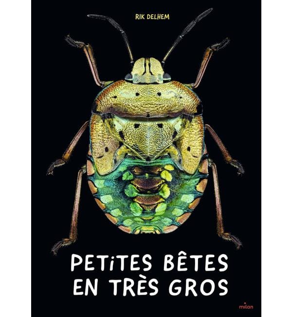 Petites bêtes en très gros
