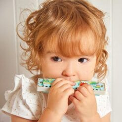 Harmonica GIOIA – Image 2