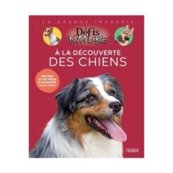 A la découverte des chiens