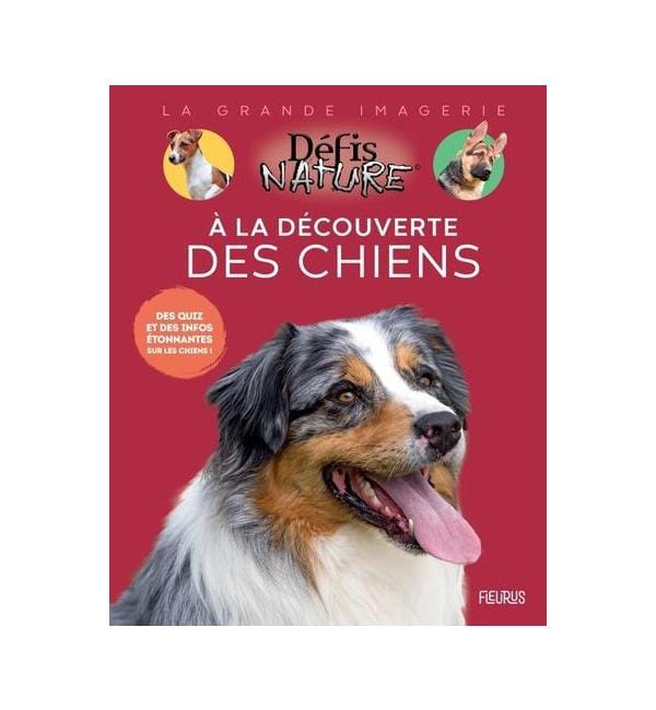 A la découverte des chiens