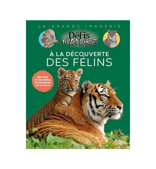 A la découverte des félins