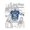 Harry Potter Serdaigle - Sagesse et réflexion