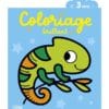 Le caméléon
