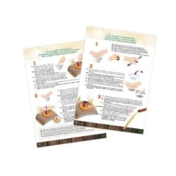 Professional Studio Poterie – Image 3