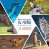 Animaux - Mon encyclo en photos