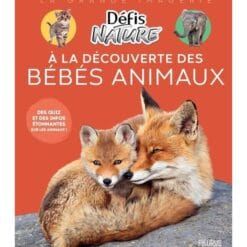 Les bébés animaux