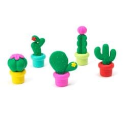 Set de 5 gommes parfumées - CACTUS – Image 2