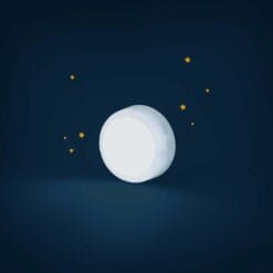 Otarie lumineuse Les aventures de Paulie – Image 3