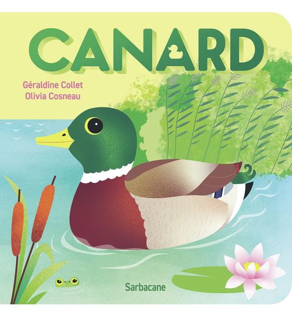 Canard