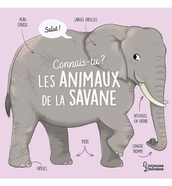 Connais-tu les animaux de la savane ?