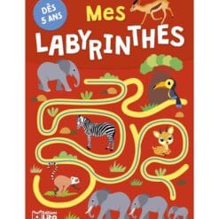Mes labyrinthes dès 5 ans