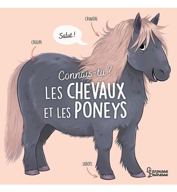 Connais-tu les chevaux et les poneys ?