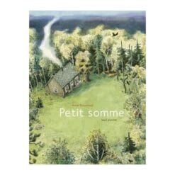 Petit somme