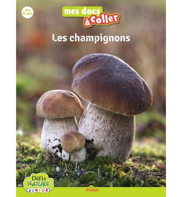 Bioviva : Les champignons