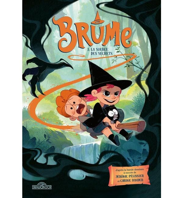 Brume. Vol. 3. La source des secrets