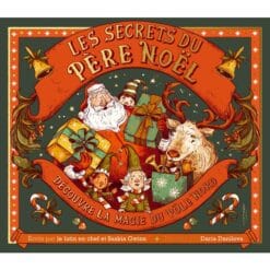 Les secrets du Père Noël : découvre la magie du pôle Nord