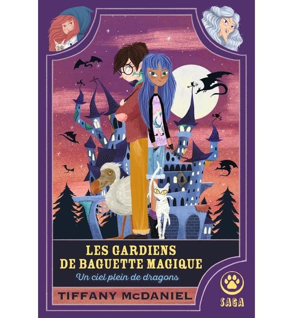 Les gardiens de baguette magique. Vol. 1. Un ciel plein de dragons